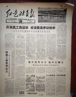 新华社：1959年太康农民抓住夏种时节栽插水稻